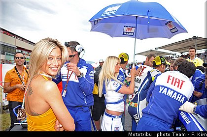 pitbabes_027.jpg