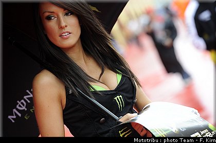 pitbabes_029.jpg