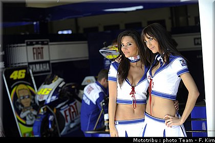 pitbabes_032.jpg