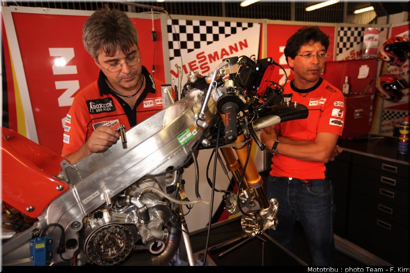 125_bradl_01