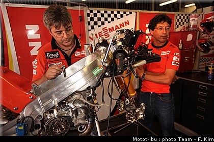 125_bradl_01.jpg