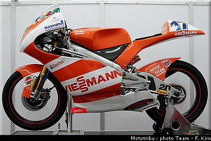 125_bradl_03.jpg