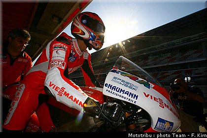 125_bradl_04.jpg