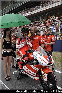 125_bradl_12.jpg