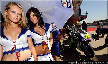 pitbabes_09.jpg