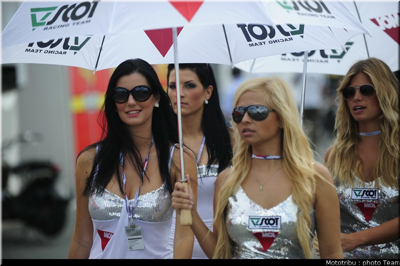pitbabe_002_brno_2009