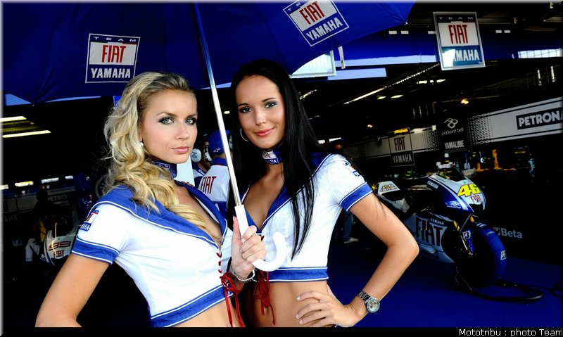 pitbabe_019_brno_2009