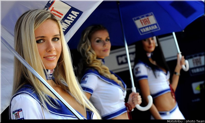pitbabe_024_brno_2009