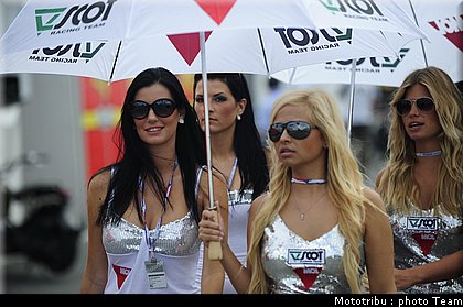 pitbabe_002_brno_2009.jpg