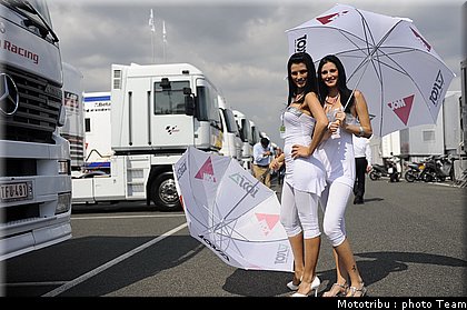 pitbabe_008_brno_2009.jpg