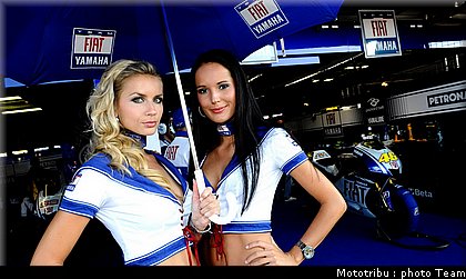 pitbabe_019_brno_2009.jpg