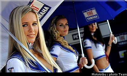 pitbabe_024_brno_2009.jpg
