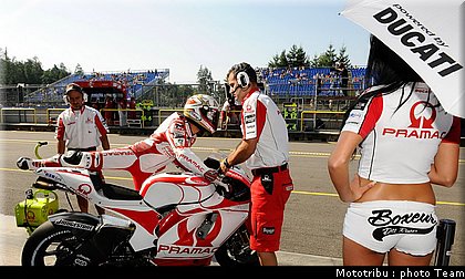 pitbabe_026_brno_2009.jpg