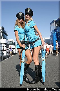 pitbabe_031_brno_2009.jpg