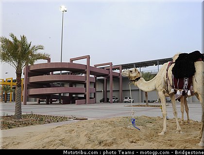 motogp_qatar_2010_0099.jpg