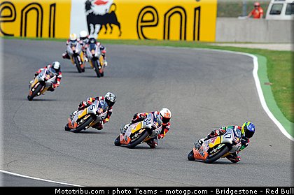 rebbull_rookie_cup_italie_2010_21.jpg