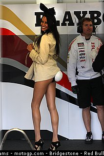 motogp_pitbabe_013_angleterre_2010.jpg