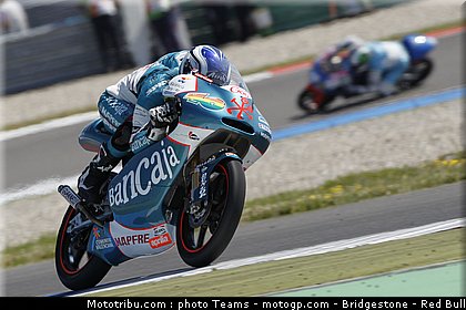 125_terol_11_paysbas_2010.jpg
