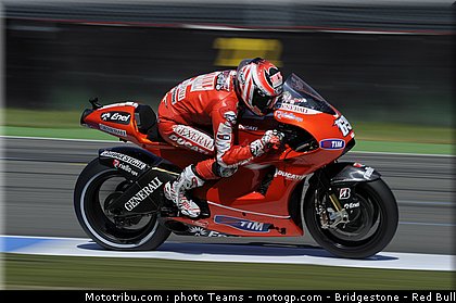motogp_hayden_15_paysbas_2010.jpg
