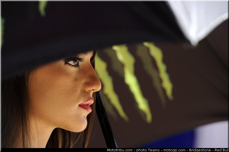 pitbabe_motogp_2010_29