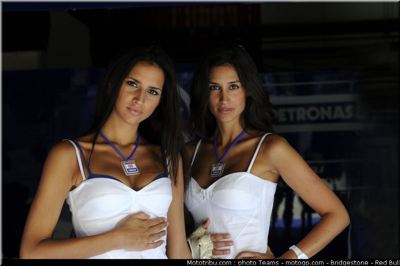 pitbabe_motogp_2010_34