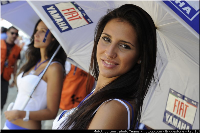 pitbabe_motogp_2010_52