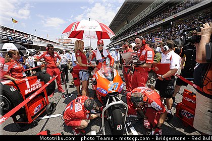 pitbabe_motogp_2010_04.jpg
