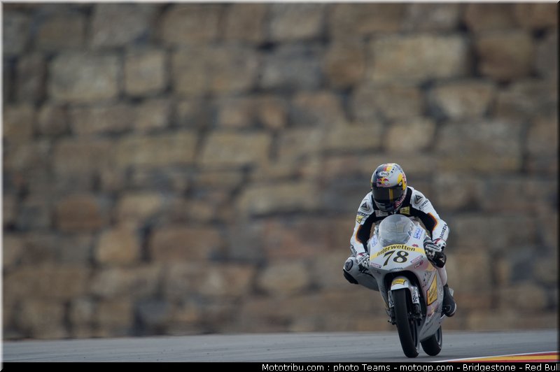 125_schroter_5_aragon_2010