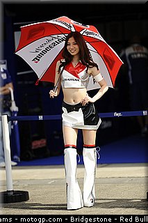 motogp_pitbabe_05_japon_2010.jpg