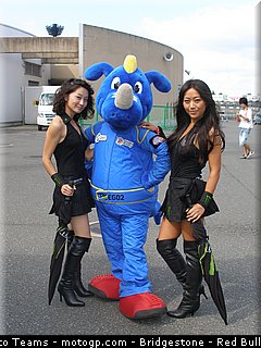 motogp_pitbabe_28_japon_2010.jpg