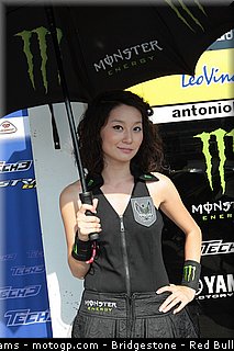 motogp_pitbabe_29_japon_2010.jpg