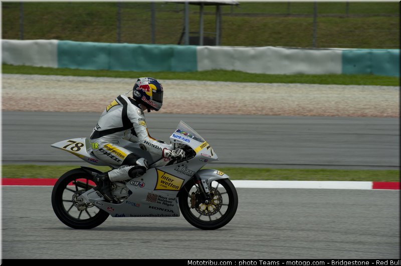125_schroter_2_malaisie_2010