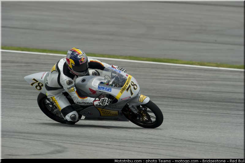 125_schroter_5_malaisie_2010