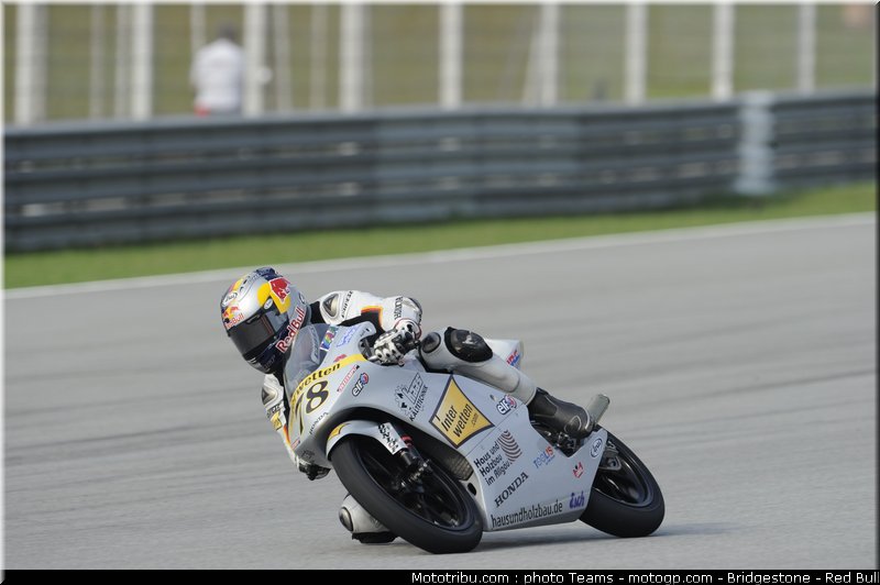 125_schroter_6_malaisie_2010