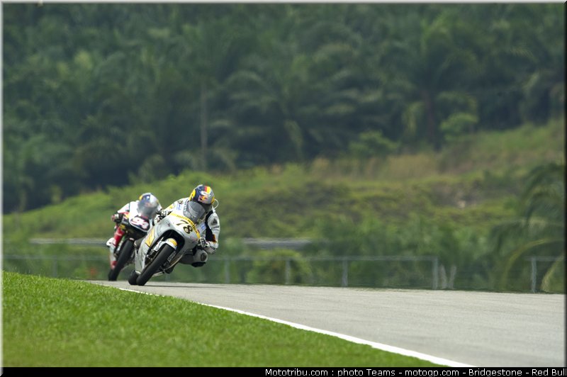 125_schroter_8_malaisie_2010