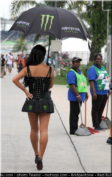 motogp_pitbabe_25_malaisie_2010