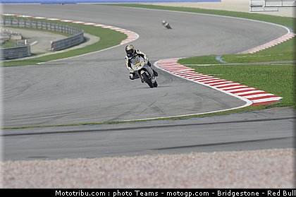 125_schroter_1_malaisie_2010.jpg