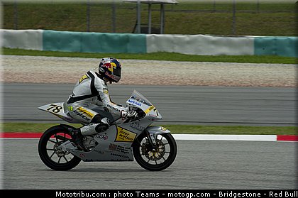 125_schroter_2_malaisie_2010.jpg