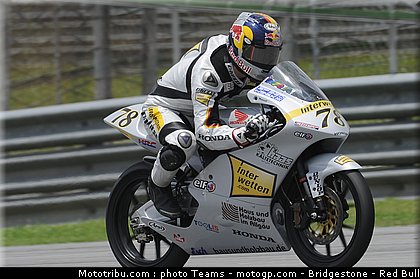 125_schroter_3_malaisie_2010.jpg