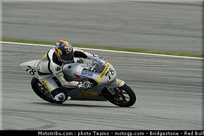 125_schroter_5_malaisie_2010.jpg
