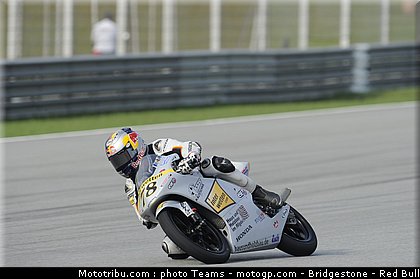 125_schroter_6_malaisie_2010.jpg