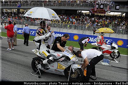 125_schroter_7_malaisie_2010.jpg