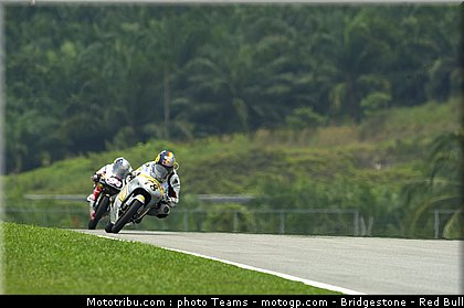 125_schroter_8_malaisie_2010.jpg