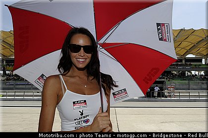 motogp_pitbabe_02_malaisie_2010.jpg