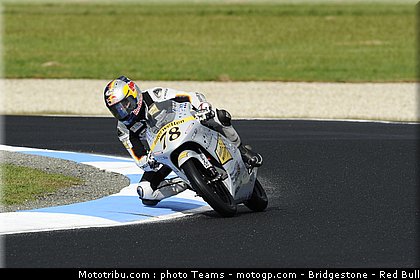 125_schroter_1_australie_2010.jpg