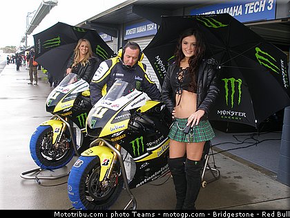 motogp_pitbabe_21_australie_2010.jpg