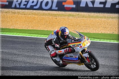 125_kornfeil_2.JPG