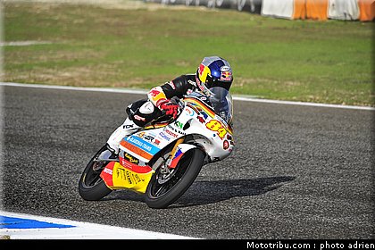 125_kornfeil_3.JPG