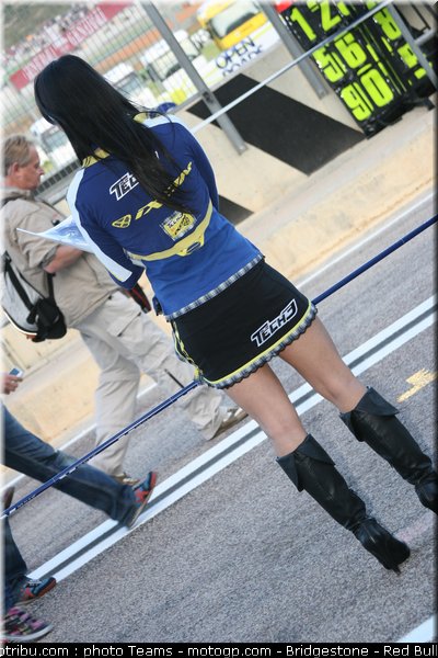motogp_pitbabe_026