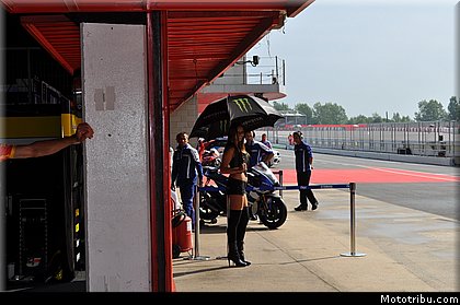 motogp_pitbabe_24_catalogne_montmelo_2011.JPG